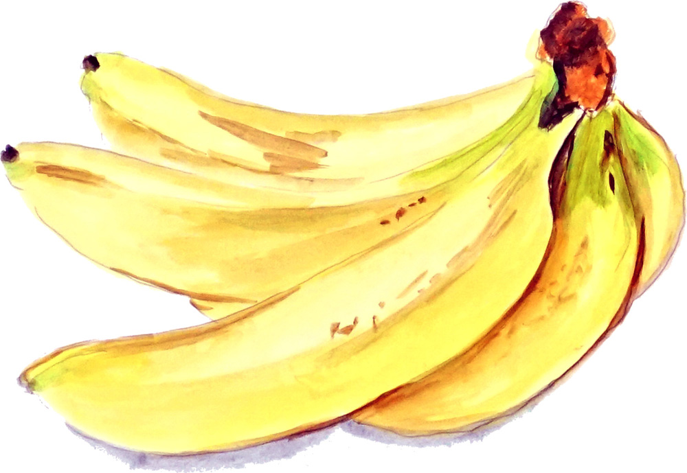 bananas Decal/Sticker - Click Image to Close