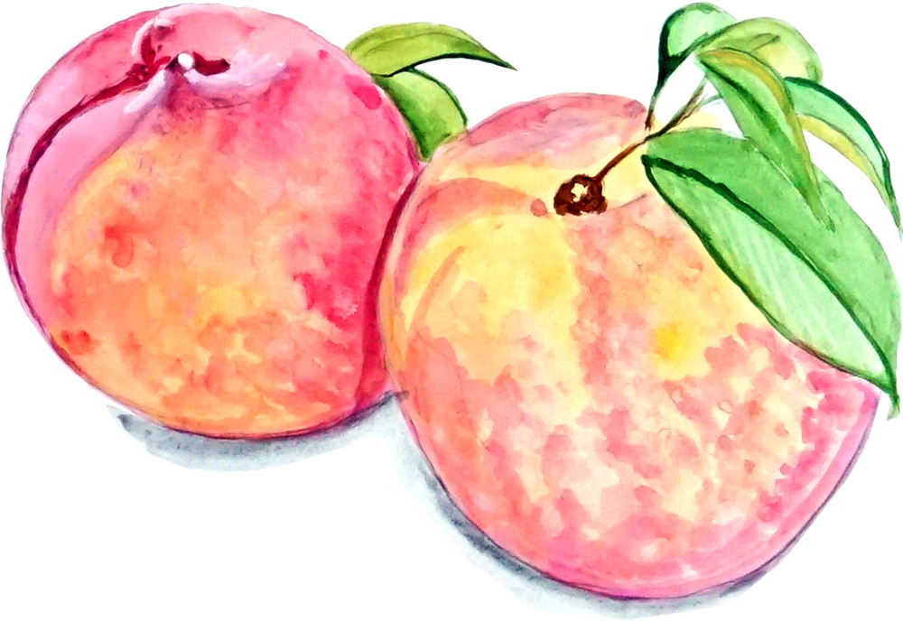 Peaches Decal/Sticker