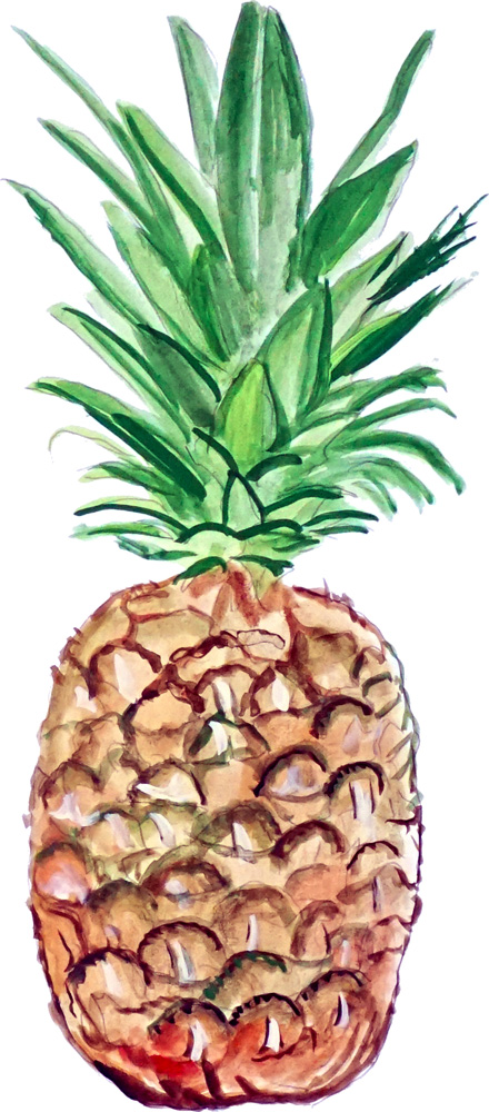 Pineapple Decal/Sticker - Click Image to Close