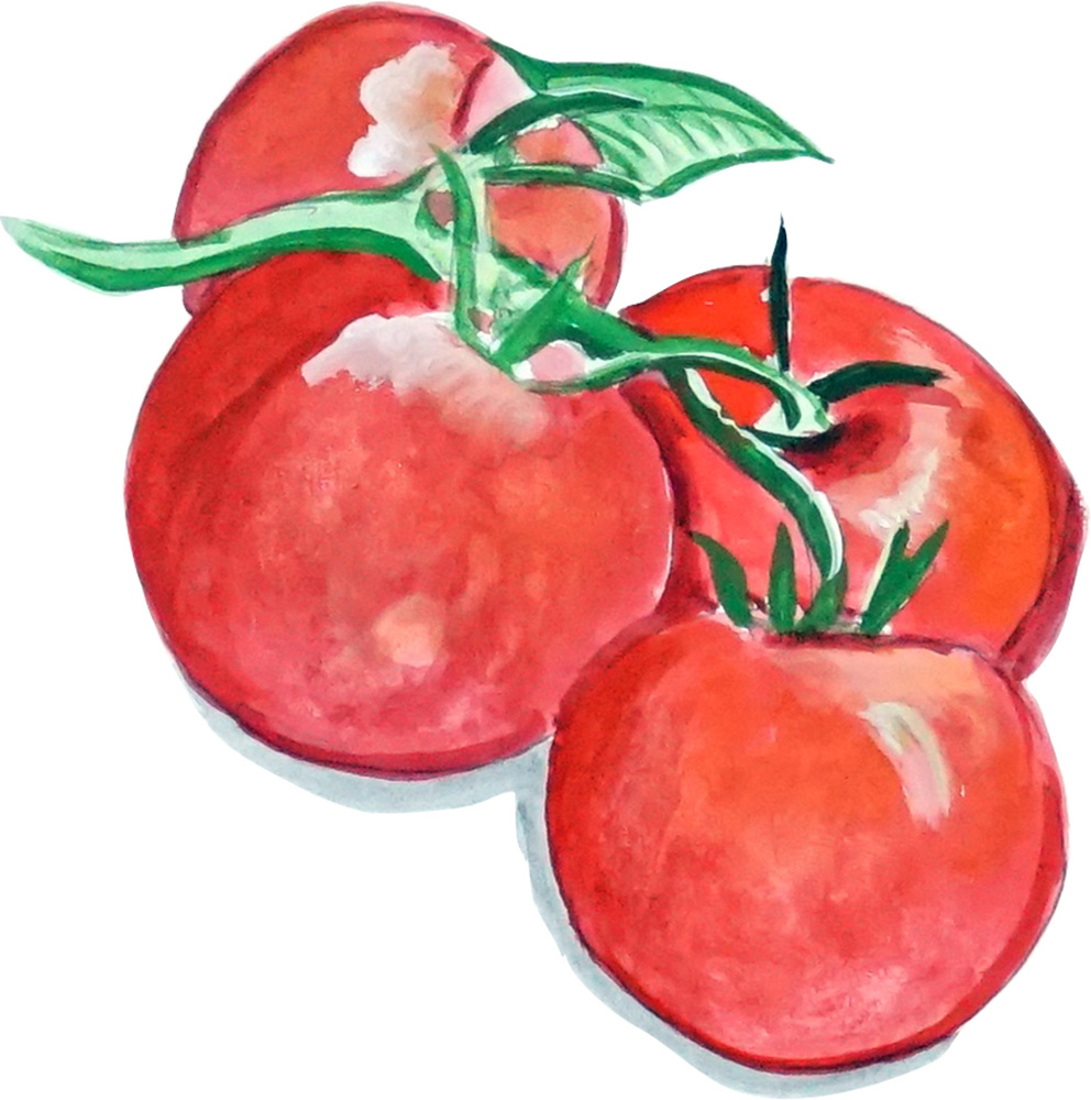 Tomatoes Decal/Sticker