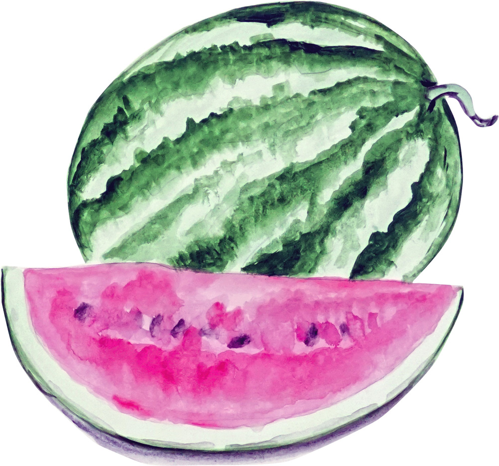 Watermelon Decal/Sticker