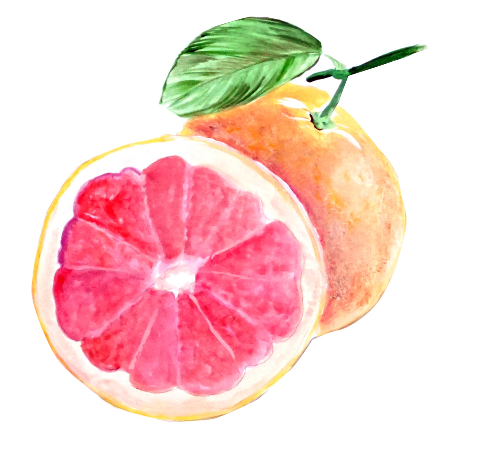 Grapefruit Decal/Sticker - Click Image to Close