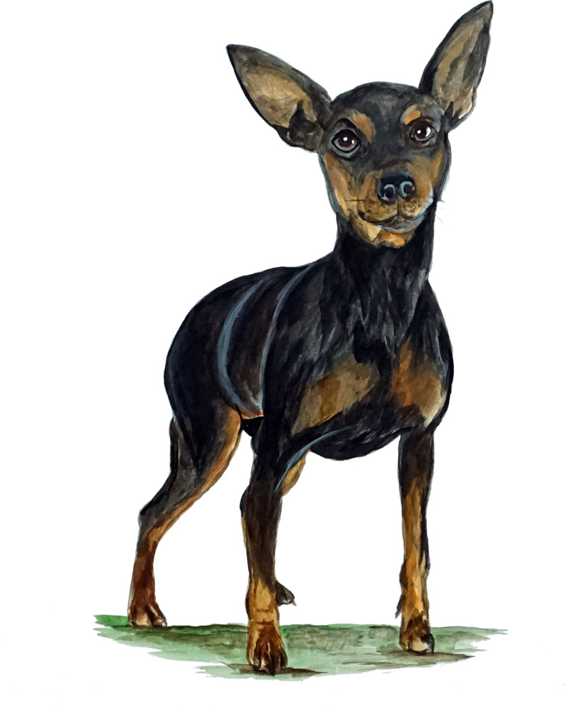 Min Pin Decal/Sticker - Click Image to Close