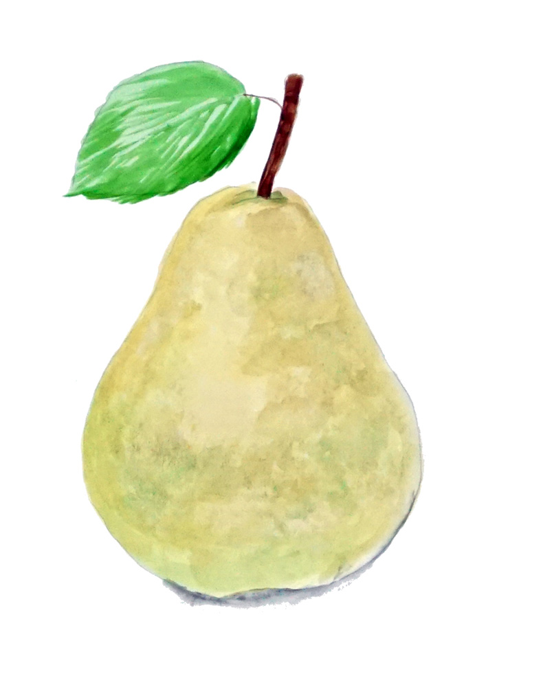 Pear Decal/Sticker - Click Image to Close