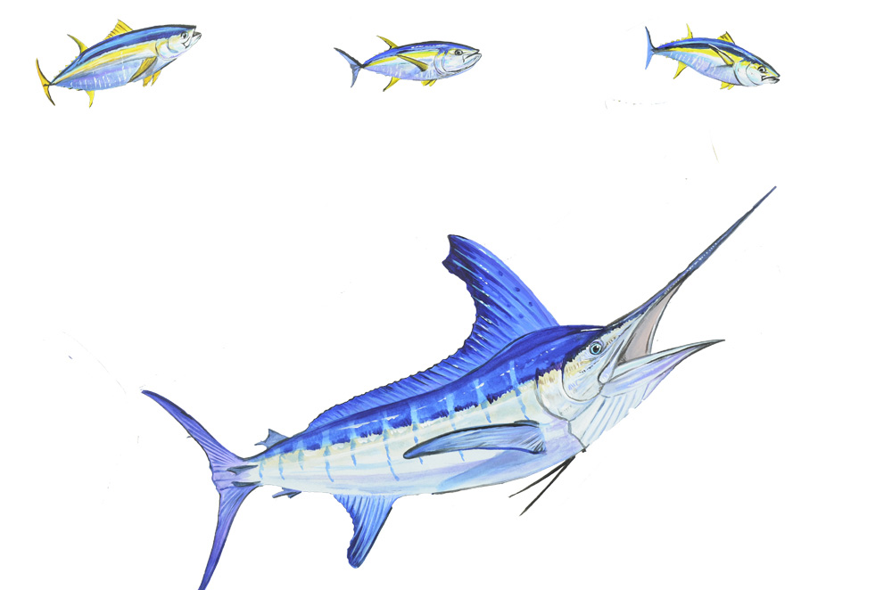 Marlin and Fish Decal/Sticker