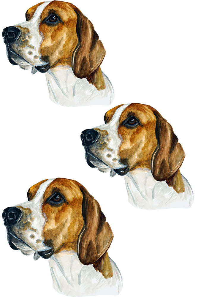 American Foxhound 3 Decal/Sticker - Click Image to Close