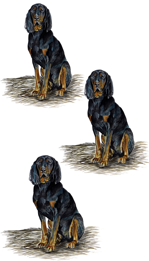 black tan hound 3 Decal/Sticker