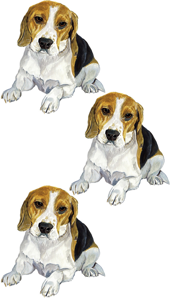 Beagle 3 Decal/Sticker