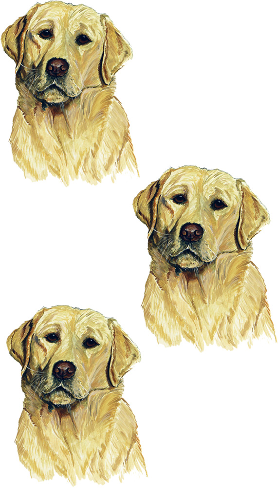 Blonde Lab 3 Decal/Sticker - Click Image to Close
