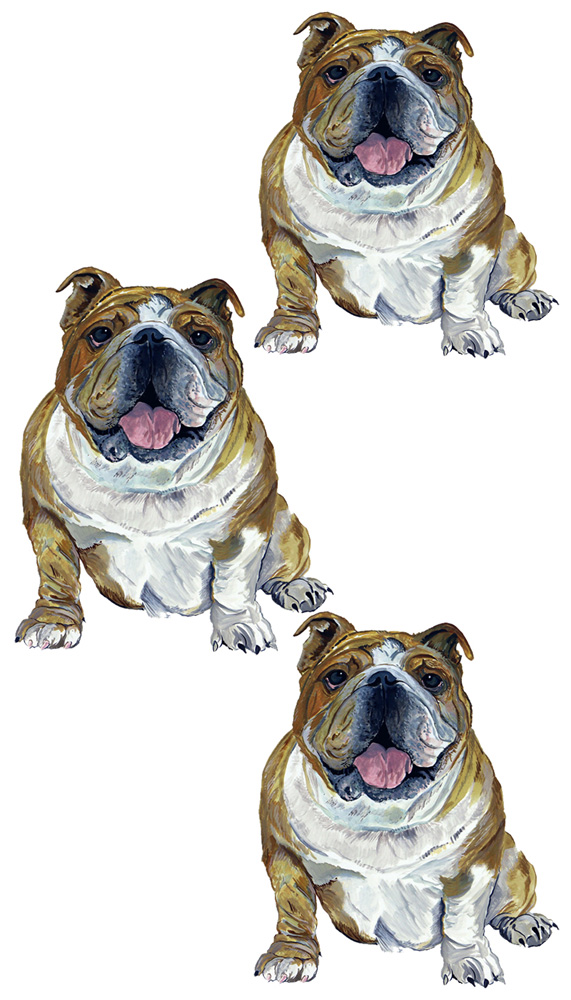Bulldog 3 Decal/Sticker - Click Image to Close