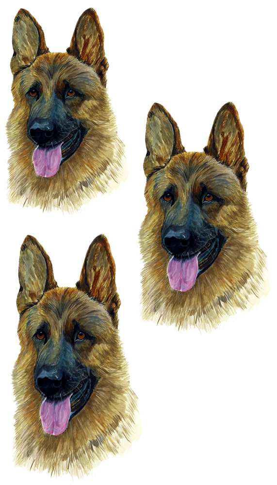 German Shepard 3 Decal/Sticker - Click Image to Close