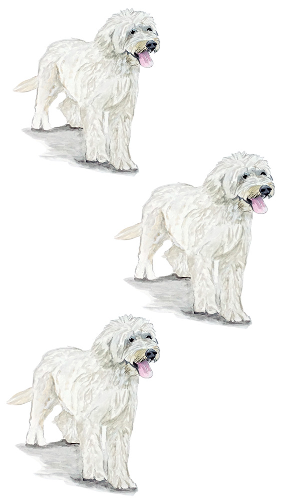 Golden Doodle 3 Decal/Sticker - Click Image to Close