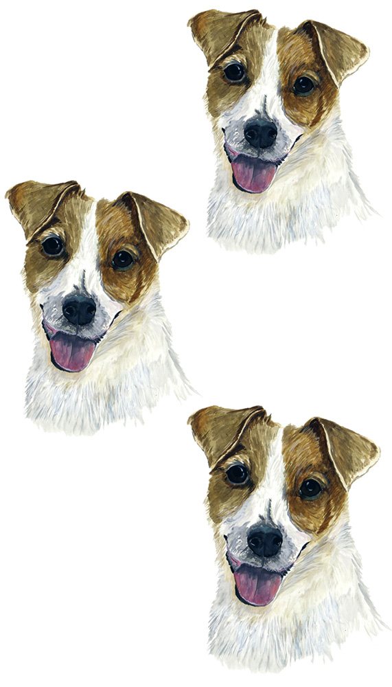 Jack Russel 3 Decal/Sticker - Click Image to Close