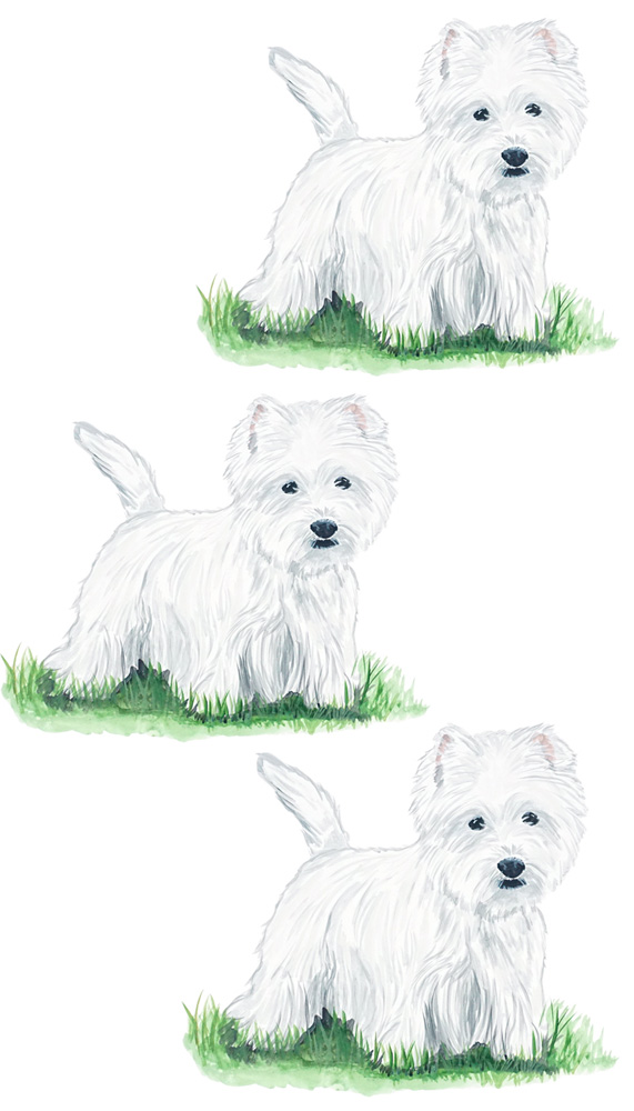 West Highland Terrier 3 Decal/Sticker - Click Image to Close