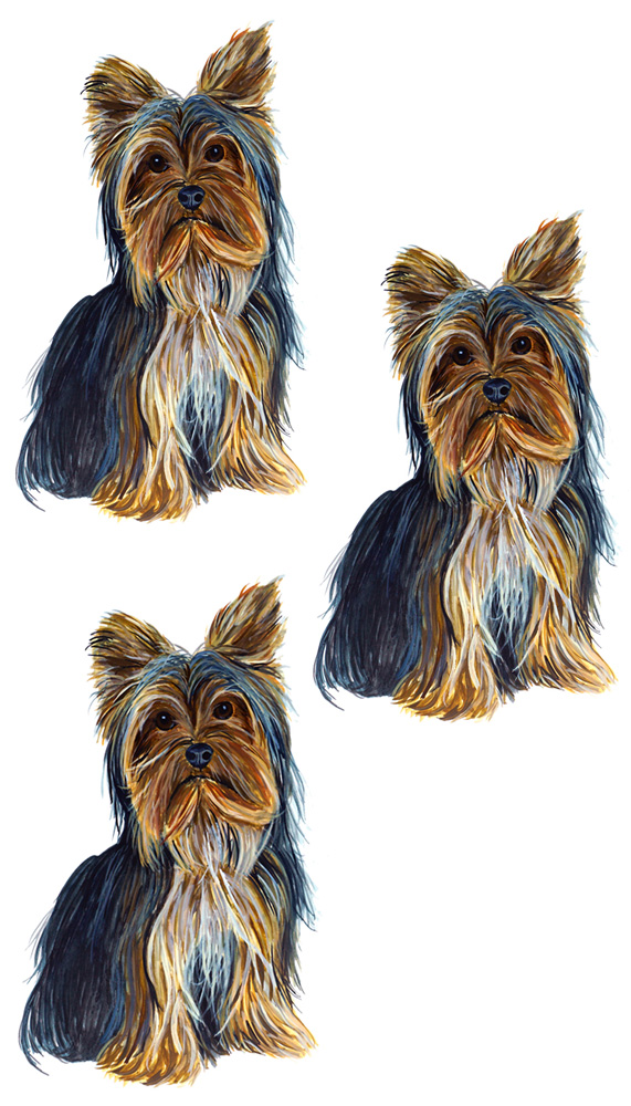 Yorkie 3 Decal/Sticker - Click Image to Close