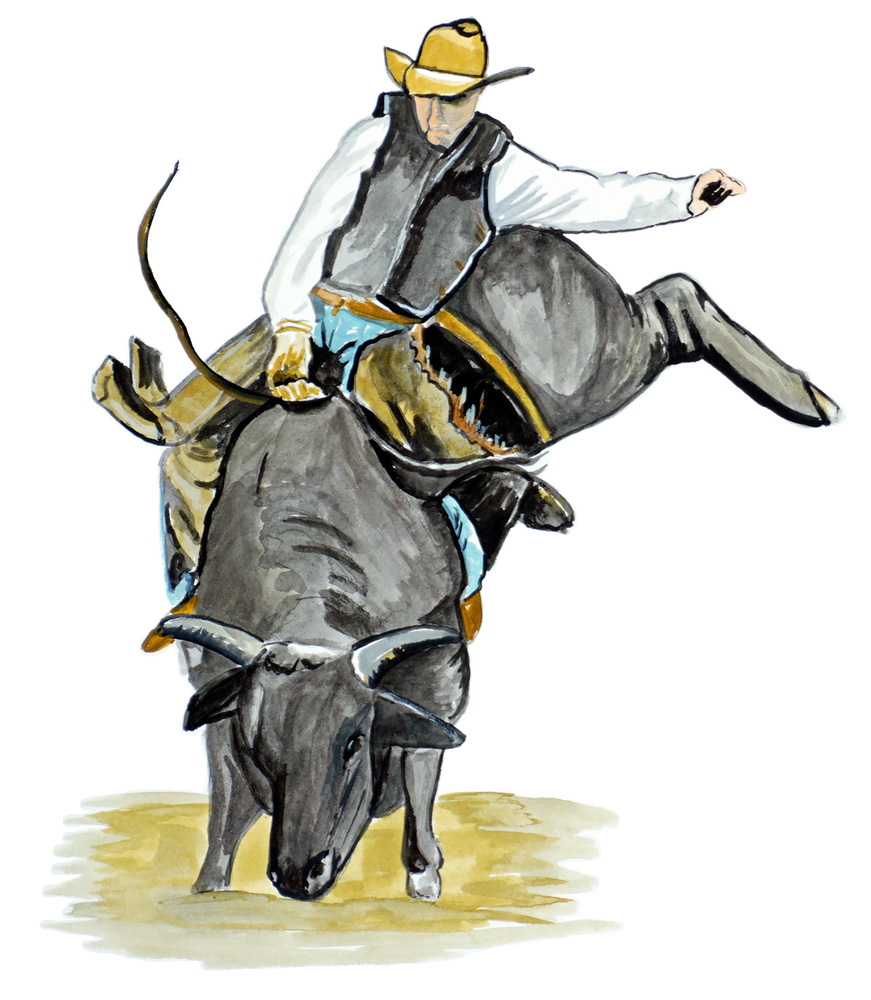 Bull Rider Decal/Sticker - Click Image to Close