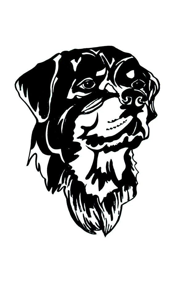 Rottweiler Outline Decal/Sticker - Click Image to Close