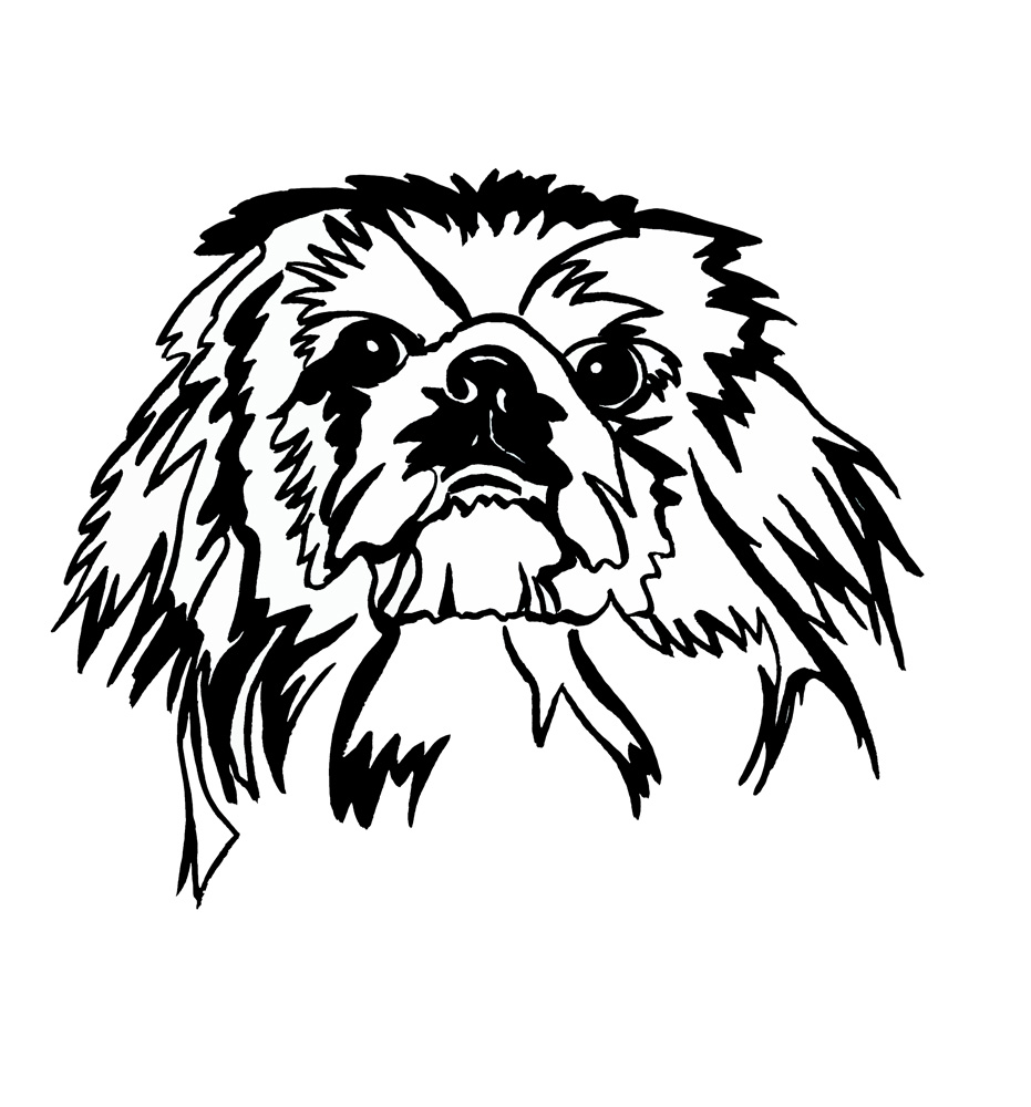 Pekingese Outline Decal/Sticker - Click Image to Close