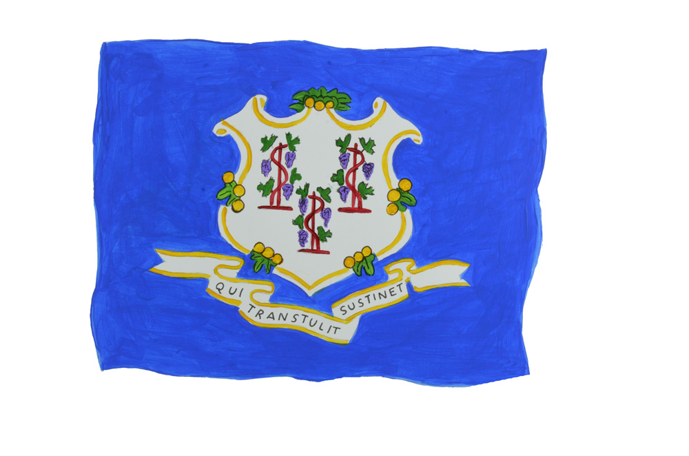 CONNECTICUT STATE FLAG Decal/Sticker - Click Image to Close