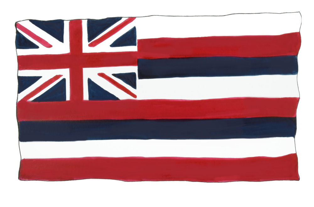 HAWAII STATE FLAG Decal/Sticker