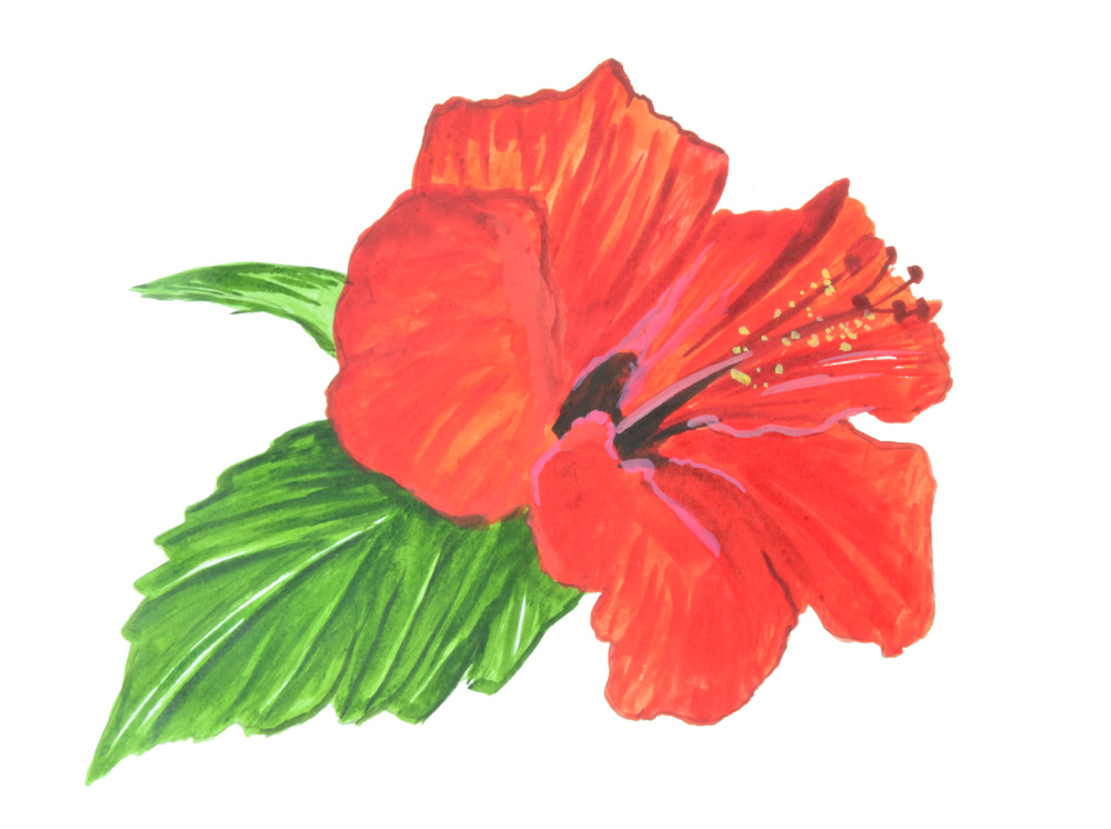 HIBISCUS FLOWER Decal/Sticker - Click Image to Close