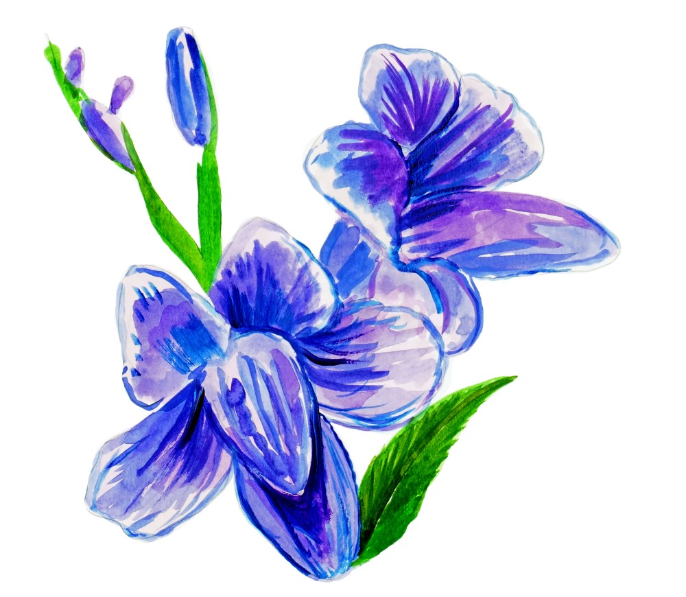 Purple Violet Decal/Sticker