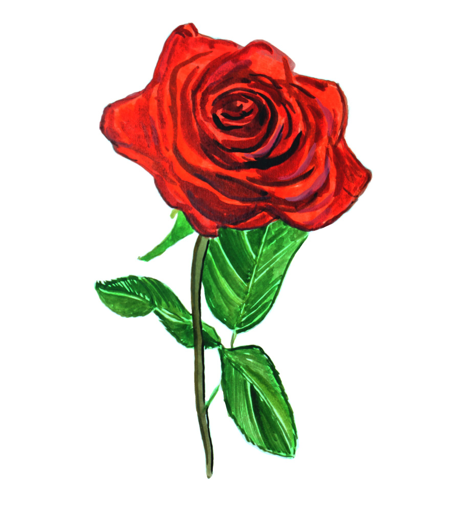 Rose Decal/Sticker - Click Image to Close