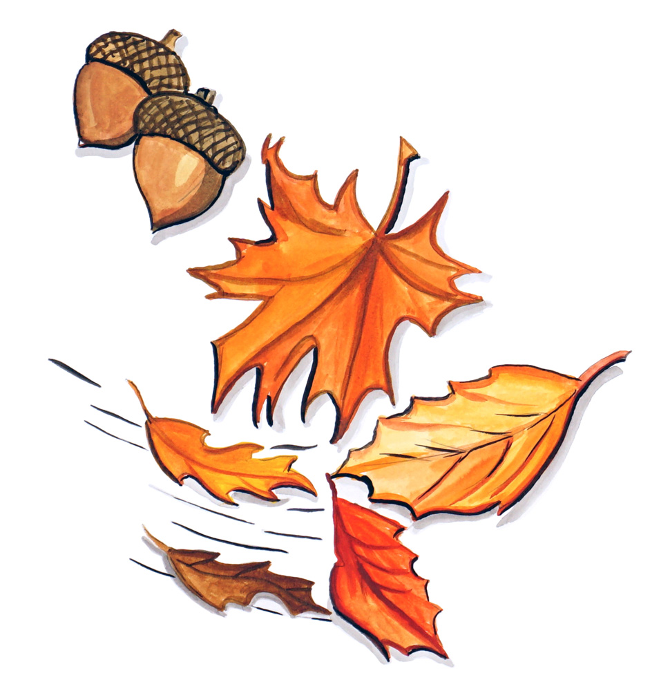 Leaves & Acorns Decal/Sticker - Click Image to Close