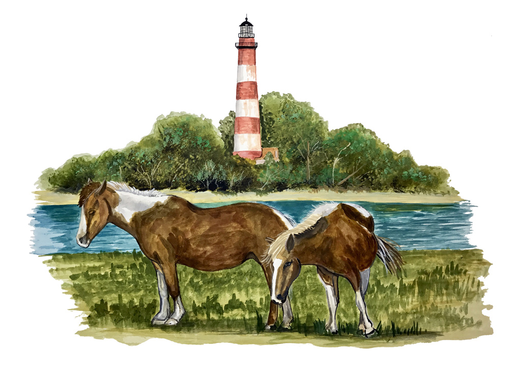 Chincoteague Ponies Decal/Sticker - Click Image to Close
