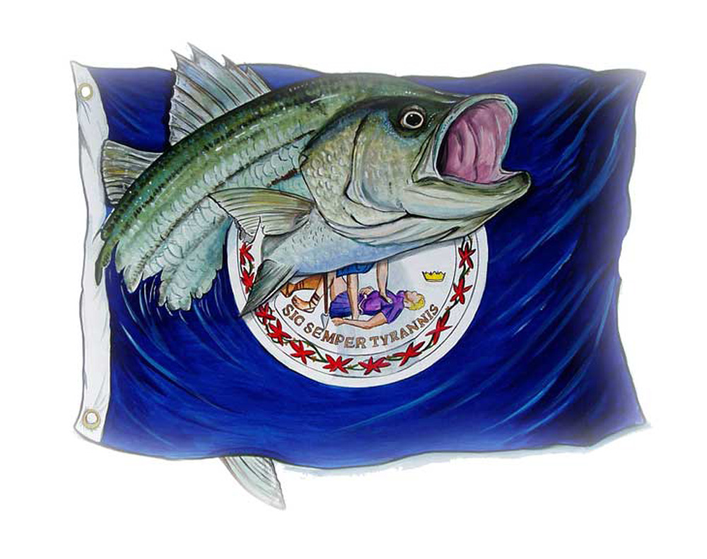 Virginia Flag & Striped Bass Decal/Sticker - Click Image to Close