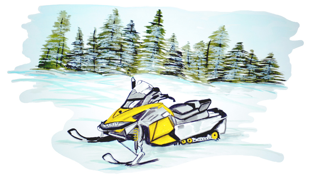 Snowmobile Decal/Sticker - Click Image to Close