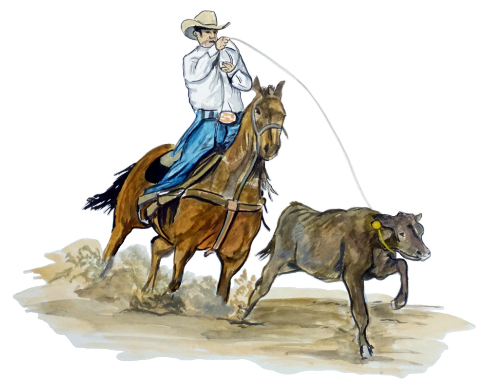 Cowboy Lassos Calf Decal/Sticker - Click Image to Close