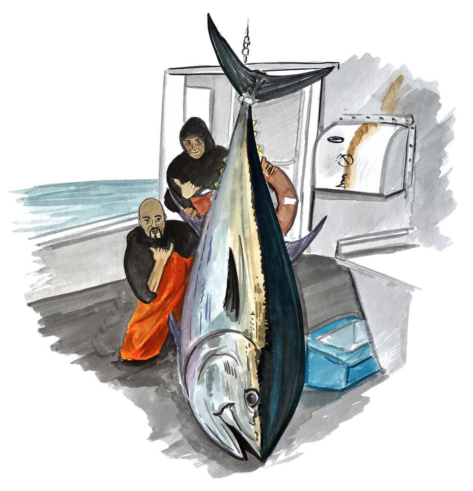 Tuna Catch Decal/Sticker - Click Image to Close