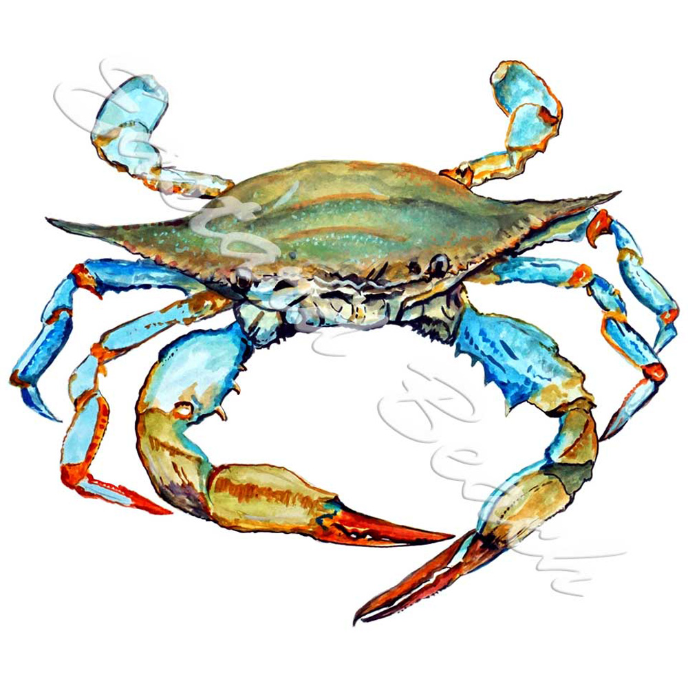 Blue Crab 2 Decal/Sticker - Click Image to Close