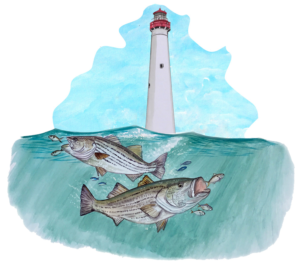 Cape May Fishing Decal/Sticker