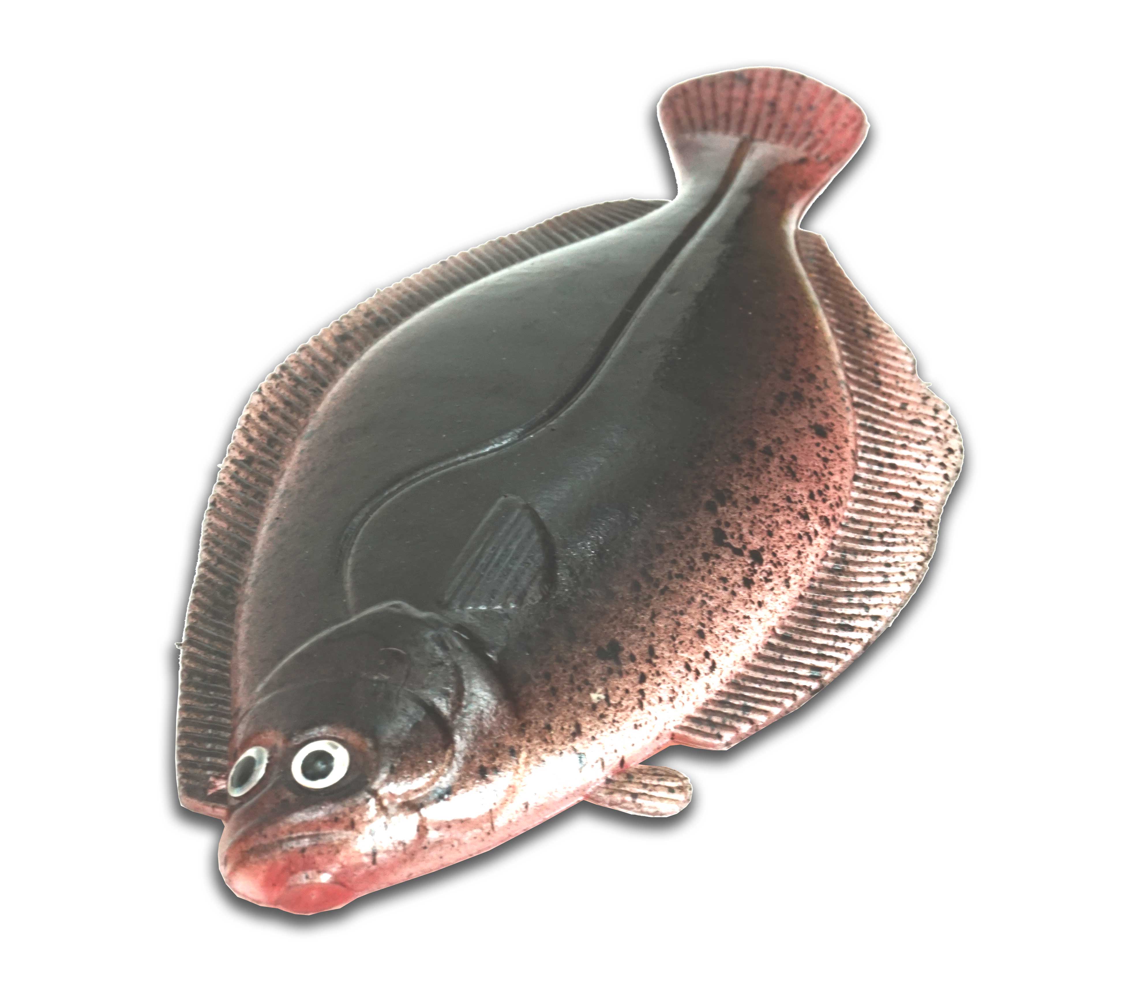 Artificial Flounder 5" Dark Brown/Pink Belly