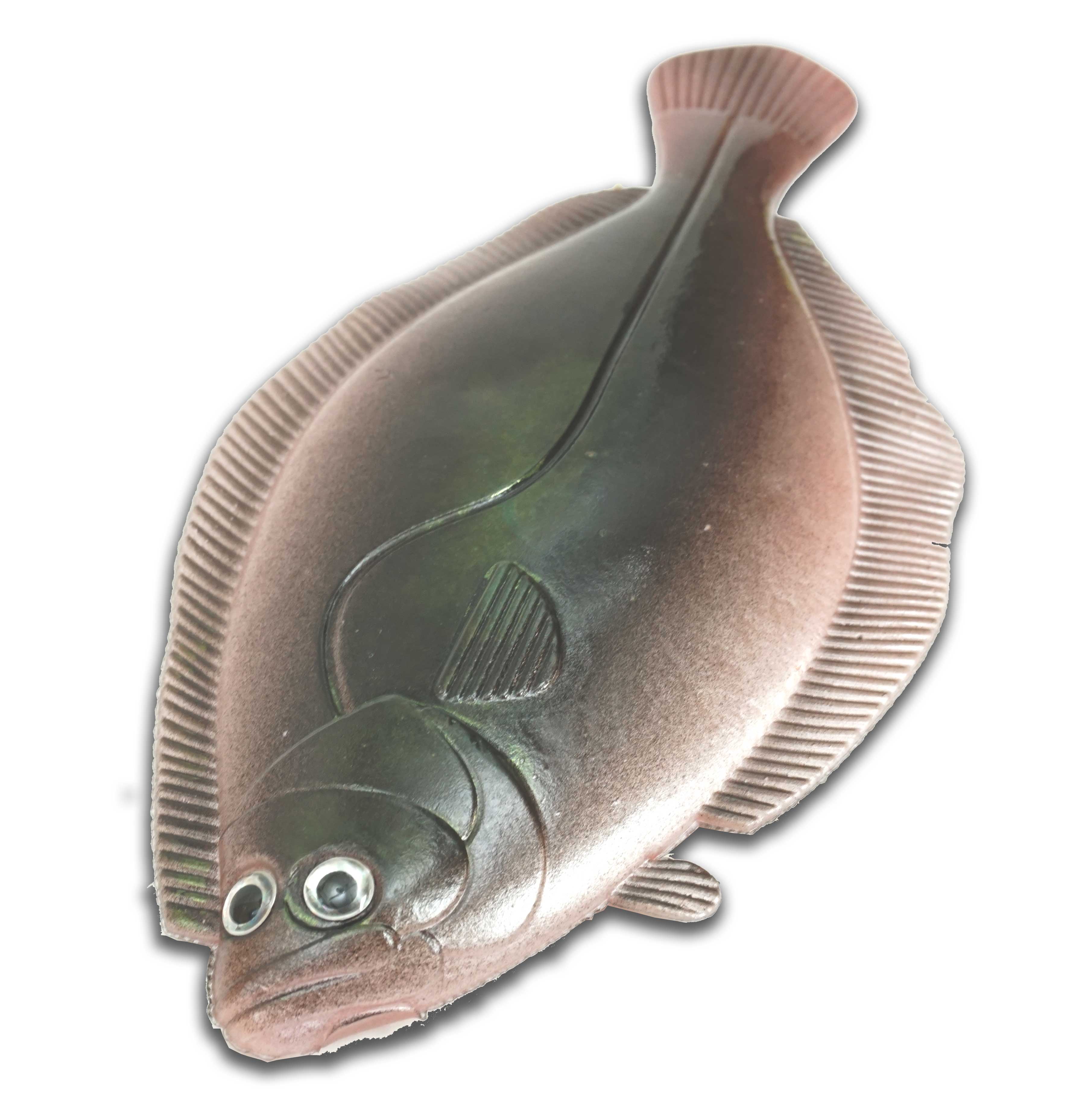 Artificial Flounder 8