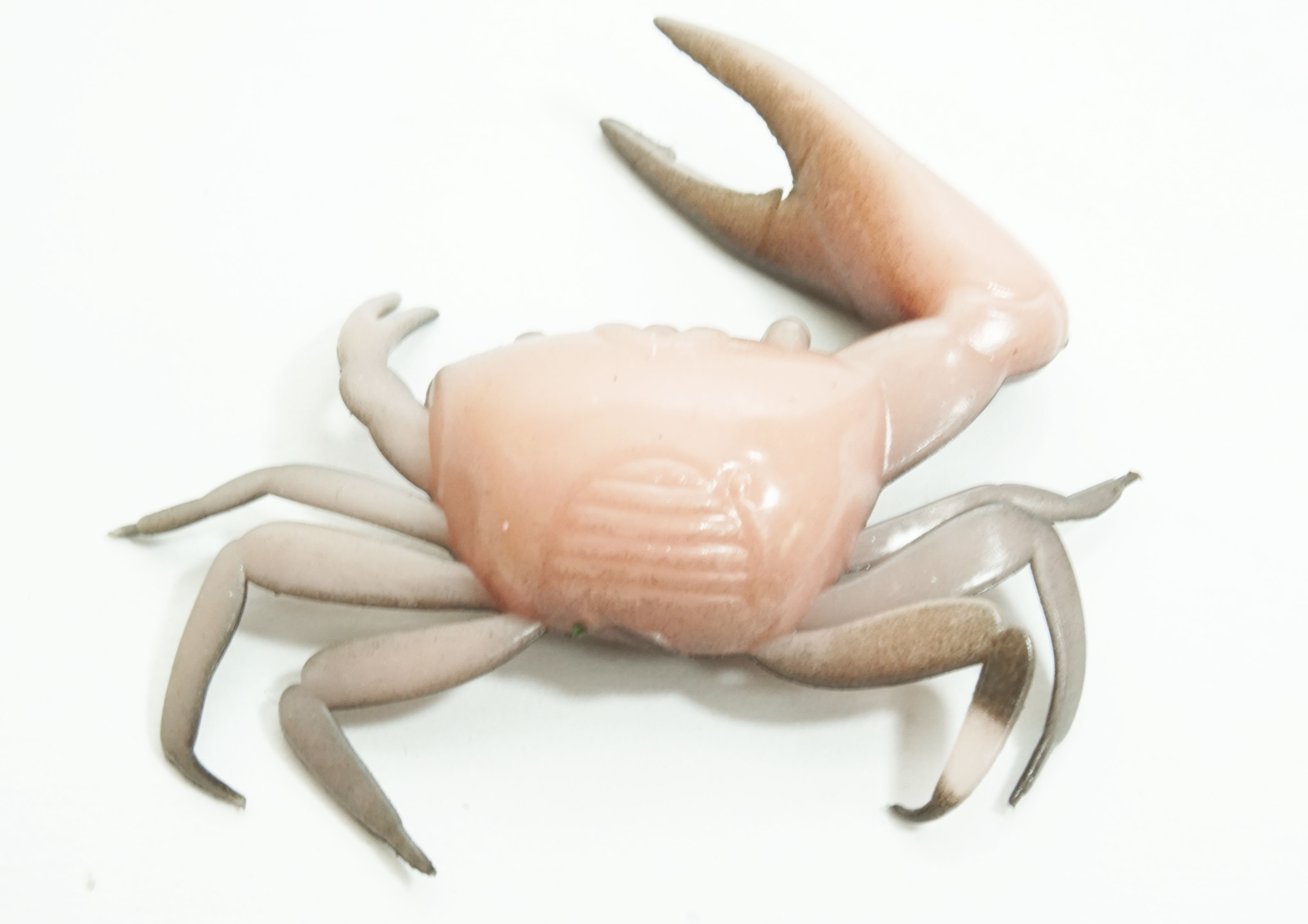 Artificial Fiddler Crab 2" Natural 8 Pack - Click Image to Close
