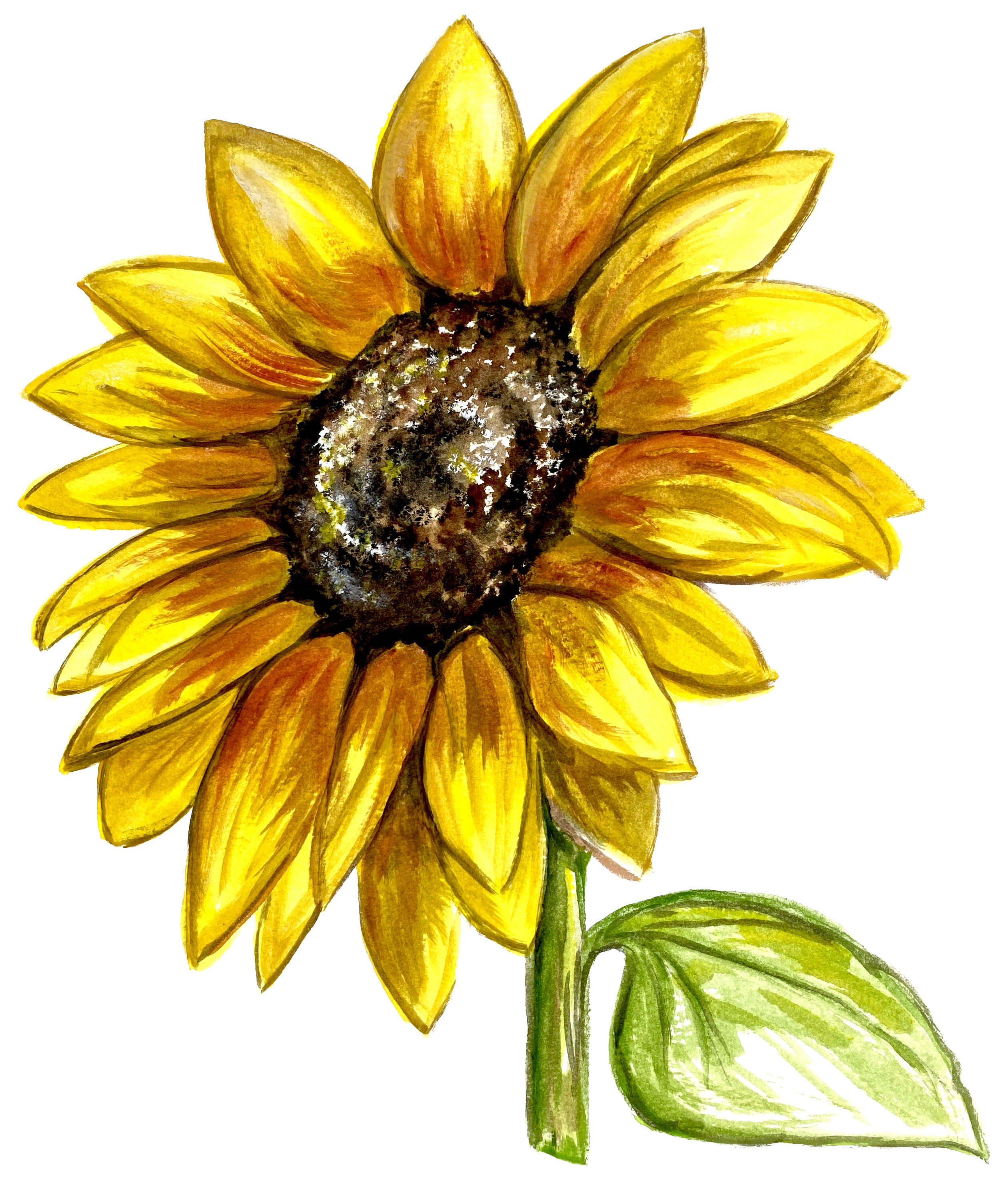 Sunflower with Stem - Click Image to Close